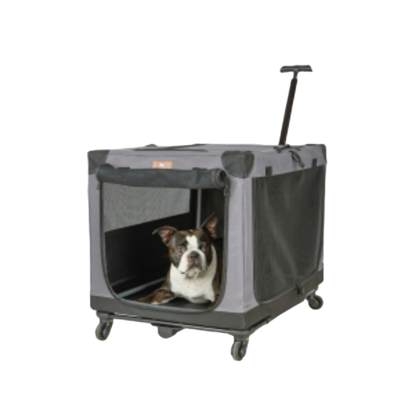 Knuffelwuff Hunde Trolley Aberdeen – mobiler Komfort für entspannte Reisen