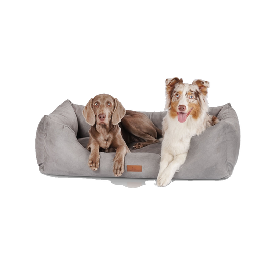 Knuffelwuff Hundebett Dreamline – Luxuriöser Schlafkomfort für deinen Vierbeiner