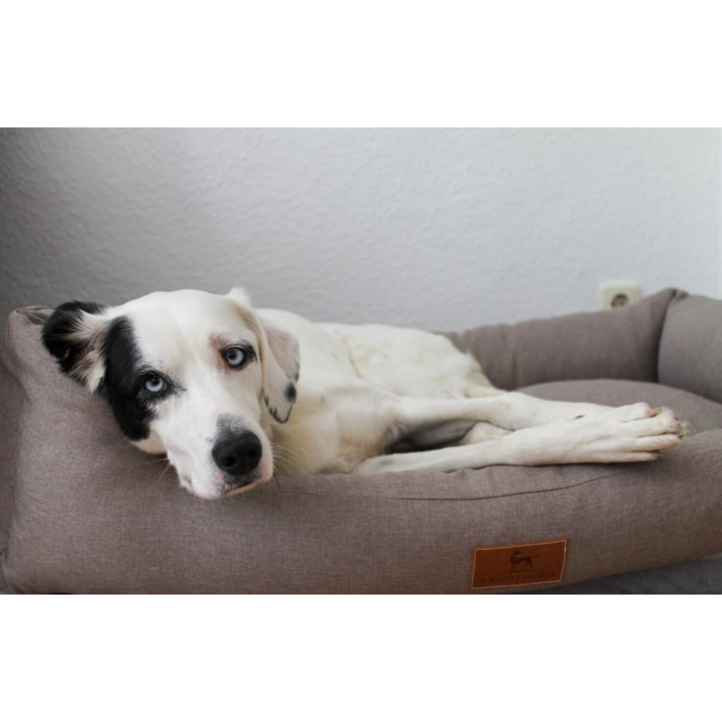 Knuffelwuff Hundebett Lotte – Stilvolles Design trifft auf höchsten Komfort