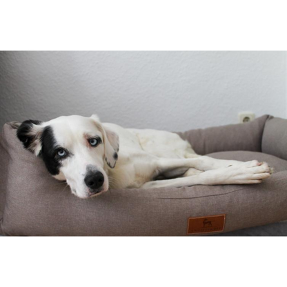Knuffelwuff Hundebett Lotte – Stilvolles Design trifft auf höchsten Komfort