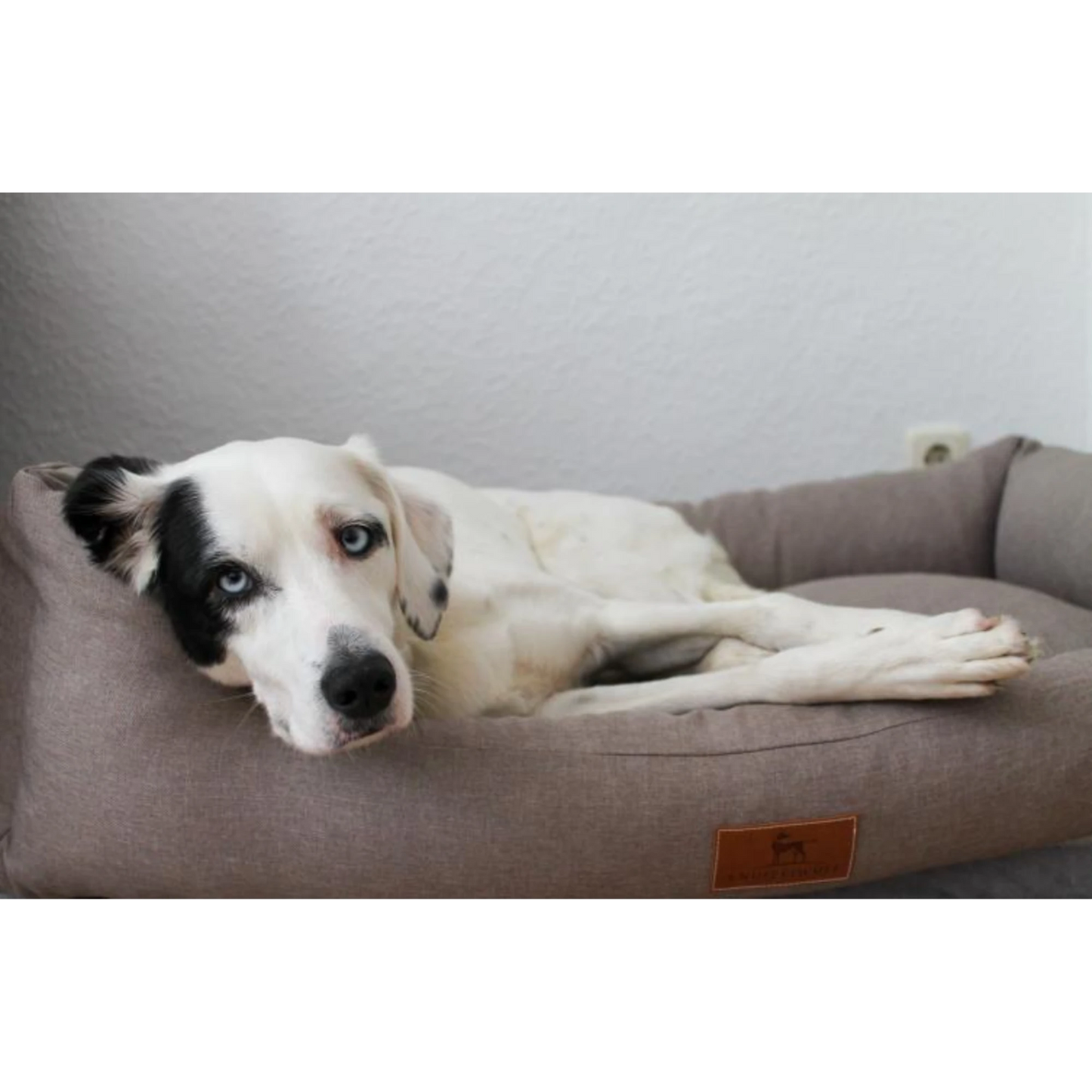 Knuffelwuff Hundebett Lotte – Stilvolles Design trifft auf höchsten Komfort