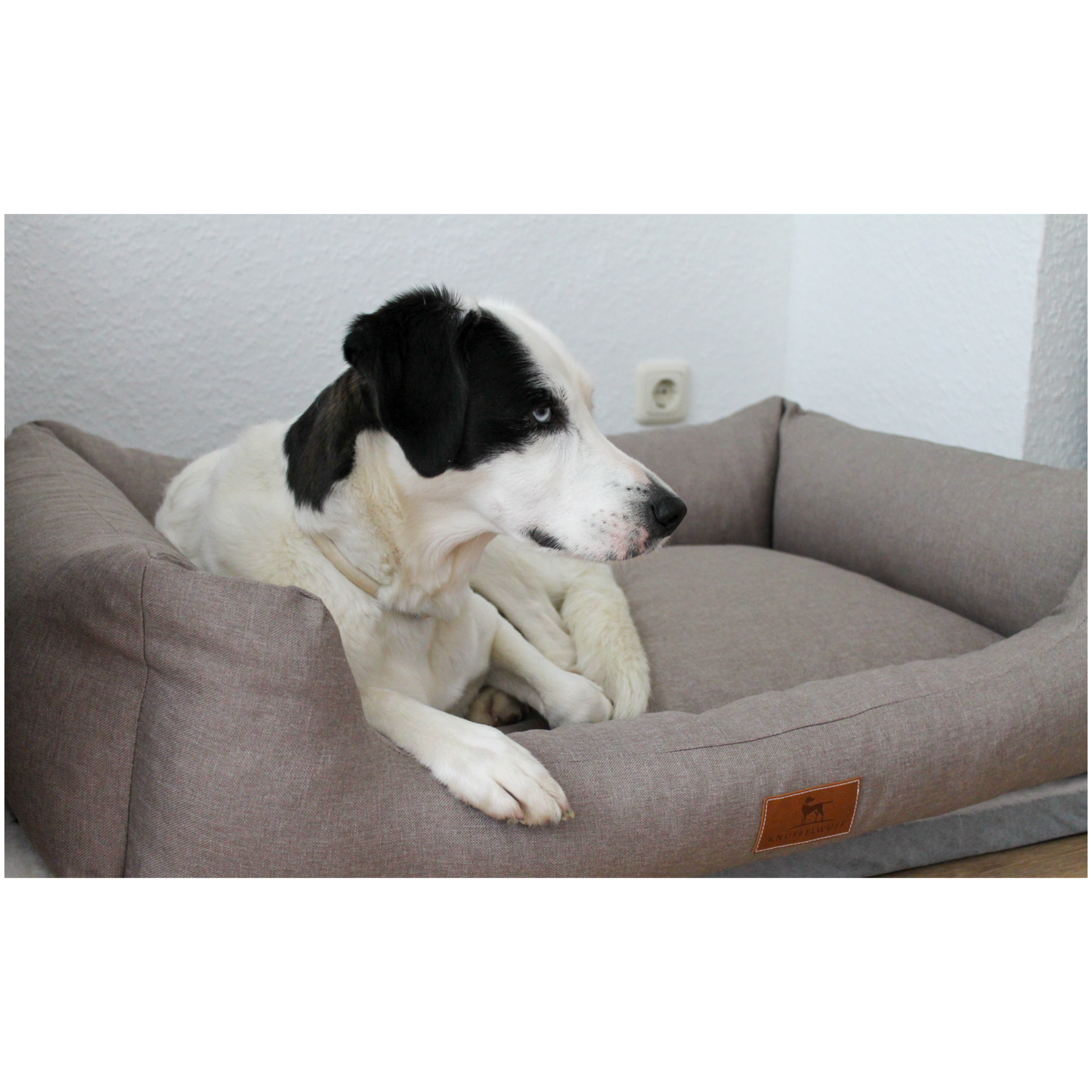 Knuffelwuff Hundebett Lotte – Stilvolles Design trifft auf höchsten Komfort