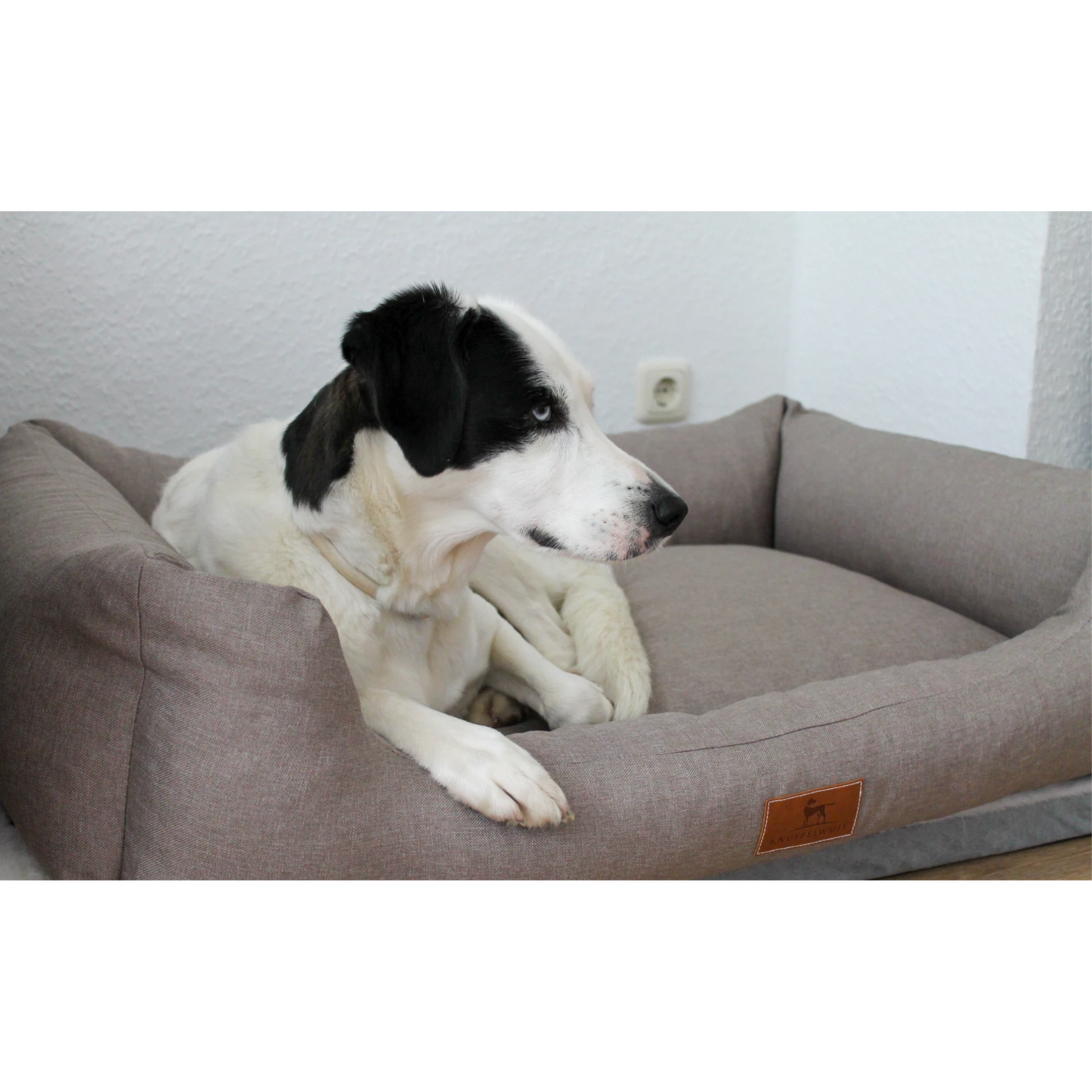 Knuffelwuff Hundebett Lotte – Stilvolles Design trifft auf höchsten Komfort