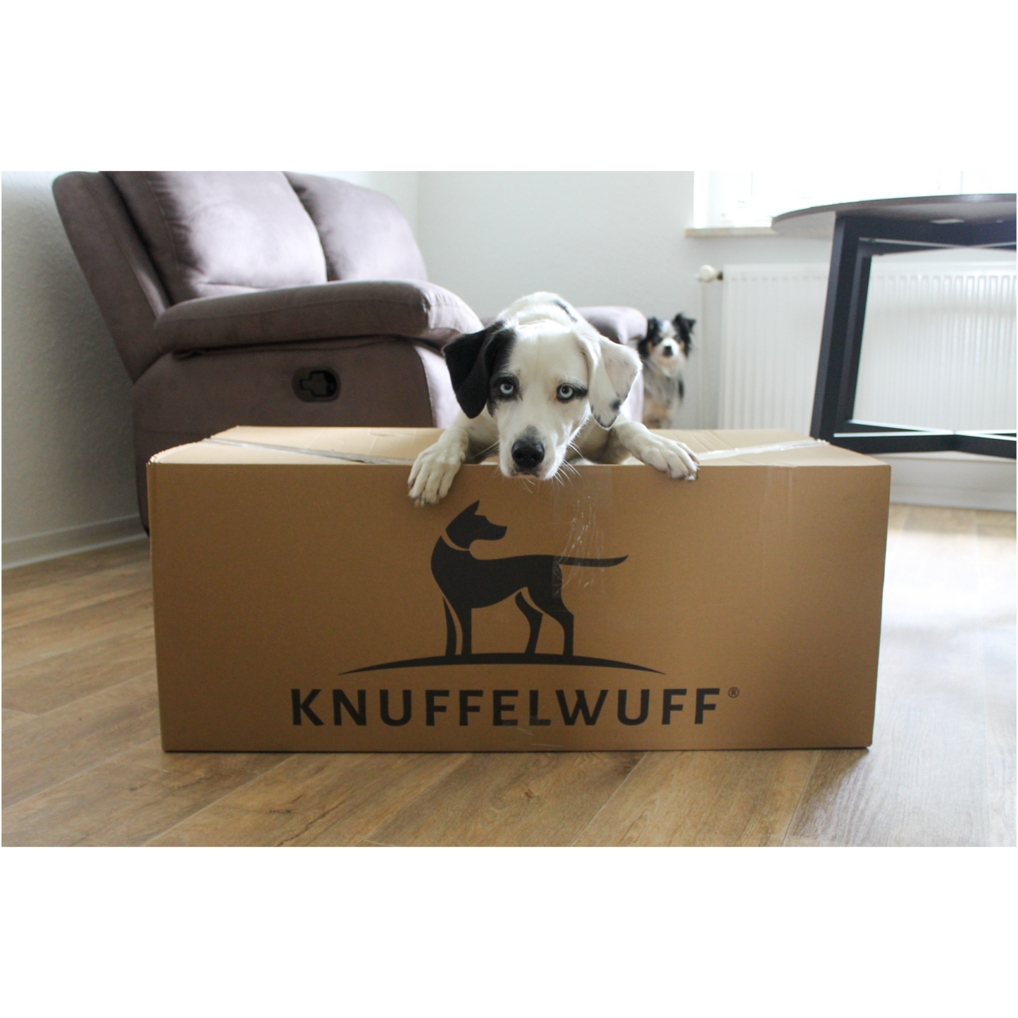 Knuffelwuff Hundebett Lotte – Stilvolles Design trifft auf höchsten Komfort