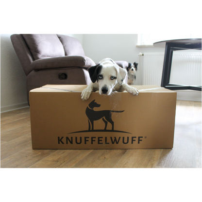 Knuffelwuff Hundebett Lotte – Stilvolles Design trifft auf höchsten Komfort