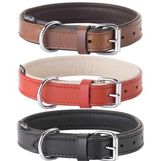 Knuffelwuff – Hundehalsband Ticino