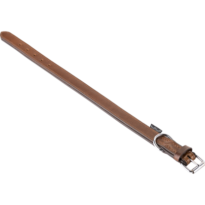 Knuffelwuff – Hundehalsband Ticino