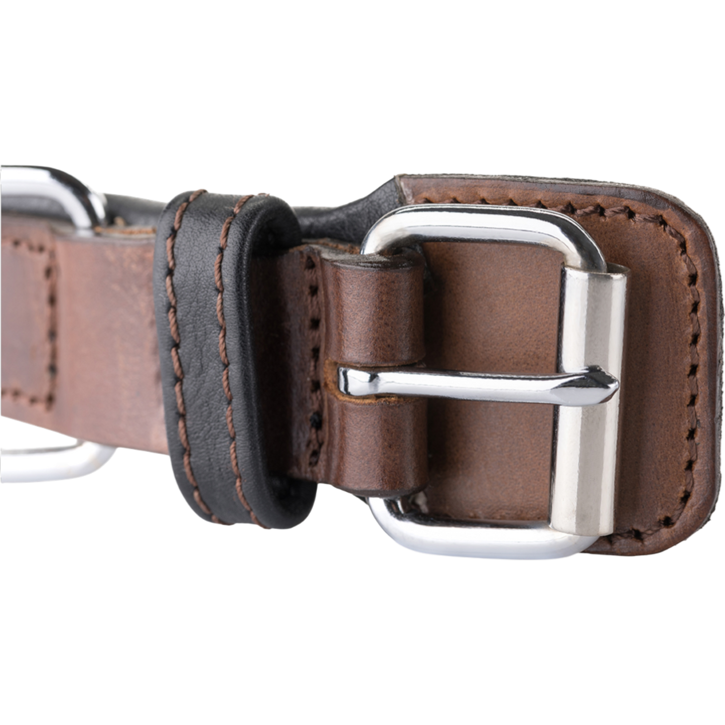 Knuffelwuff – Hundehalsband Detroit