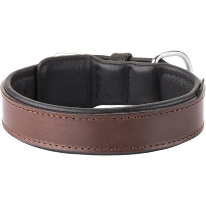 Knuffelwuff – Hundehalsband Detroit