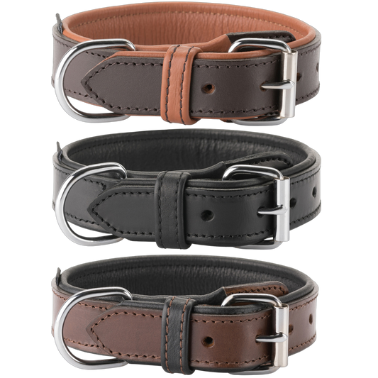 Knuffelwuff – Hundehalsband Detroit