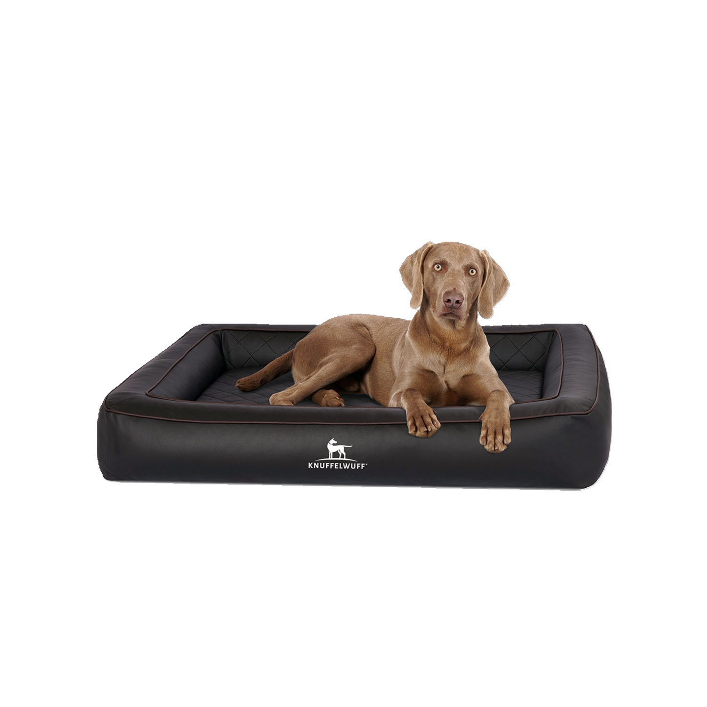 Knuffelwuff Orthopädisches Hundebett Hampstead – aus laser-gestepptem Kunstleder