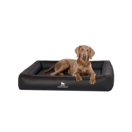 Knuffelwuff Orthopädisches Hundebett Hampstead – aus laser-gestepptem Kunstleder