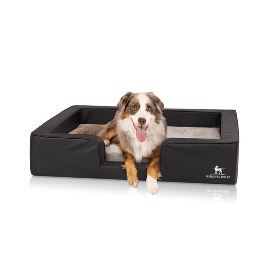 Knuffelwuff Orthopädisches Hundebett Indianapolis – Ultimativer Komfort für deinen Vierbeiner