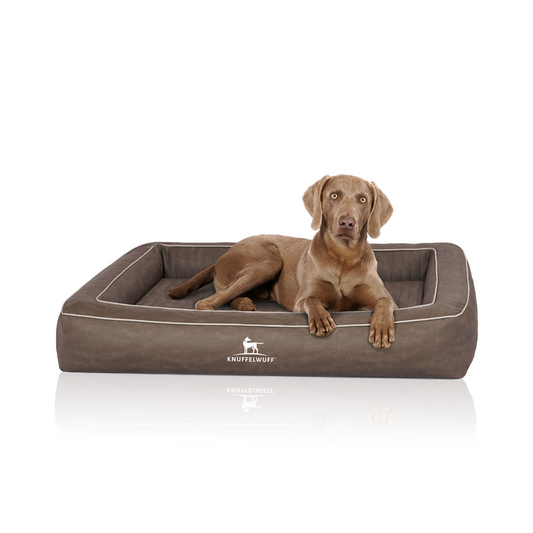 Knuffelwuff Orthopädisches Hundebett Montego – Luxuriöser Schlafkomfort für höchste Ansprüche