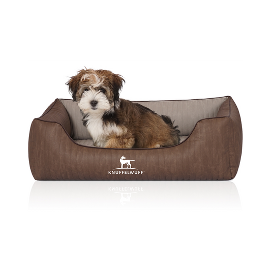 Knuffelwuff Orthopädisches Hundebett Outlander – Stil, Komfort und Gesundheit in Einem