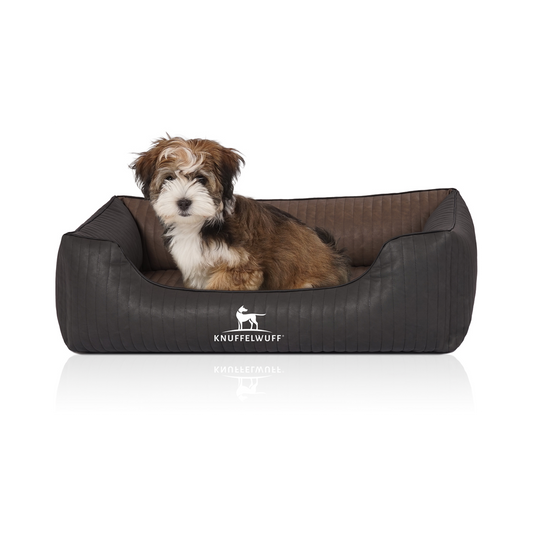 Knuffelwuff Orthopädisches Hundebett Rough Road – Robustes Design trifft auf höchsten Komfort