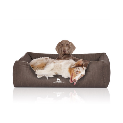 Knuffelwuff Orthopädisches Hundebett Tampa – Eleganz trifft auf höchsten Komfort