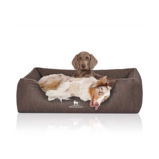 Knuffelwuff Orthopädisches Hundebett Tampa – Eleganz trifft auf höchsten Komfort
