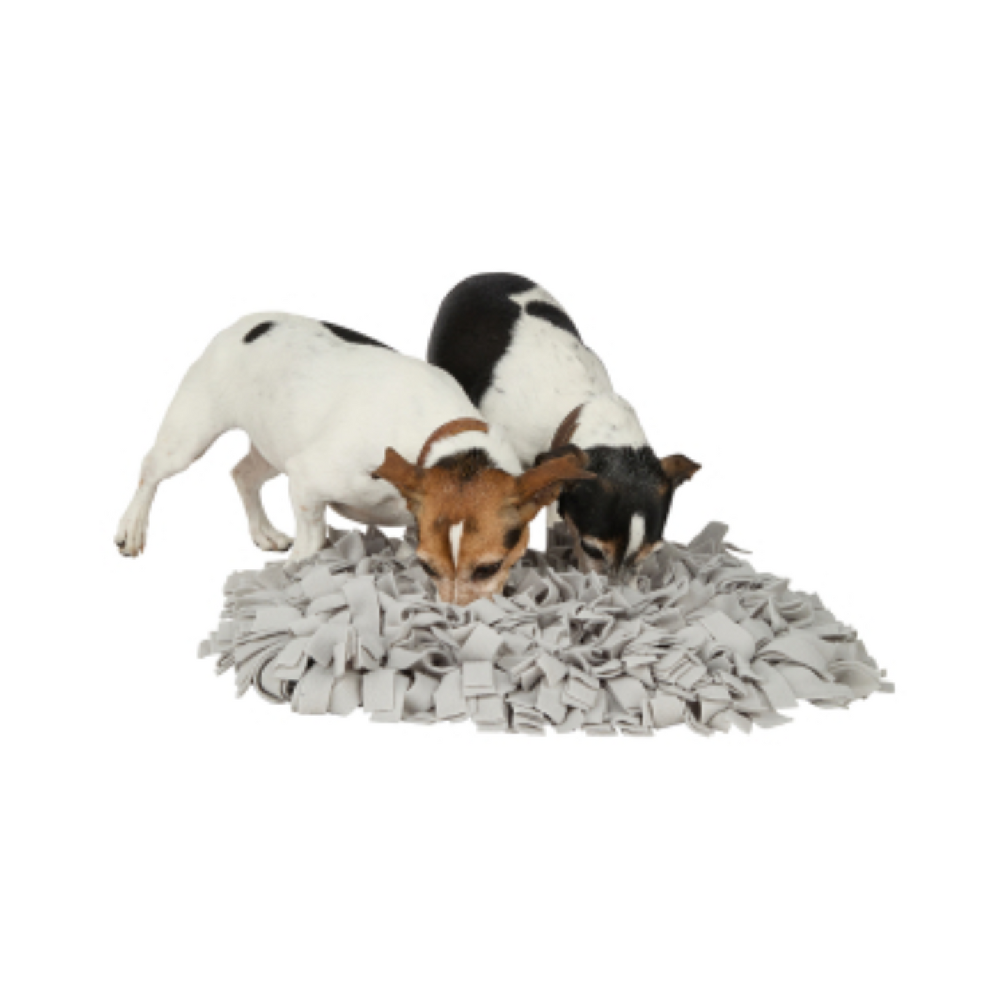 Knuffelwuff Schnüffelteppich – spielerische Kopfarbeit, die jeden Hund begeistert