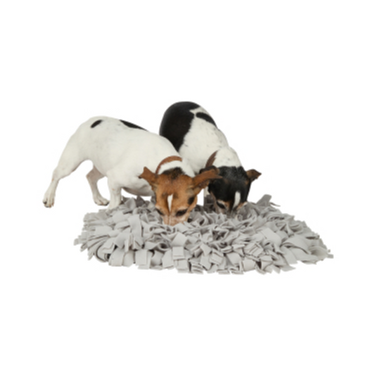 Knuffelwuff Schnüffelteppich – spielerische Kopfarbeit, die jeden Hund begeistert