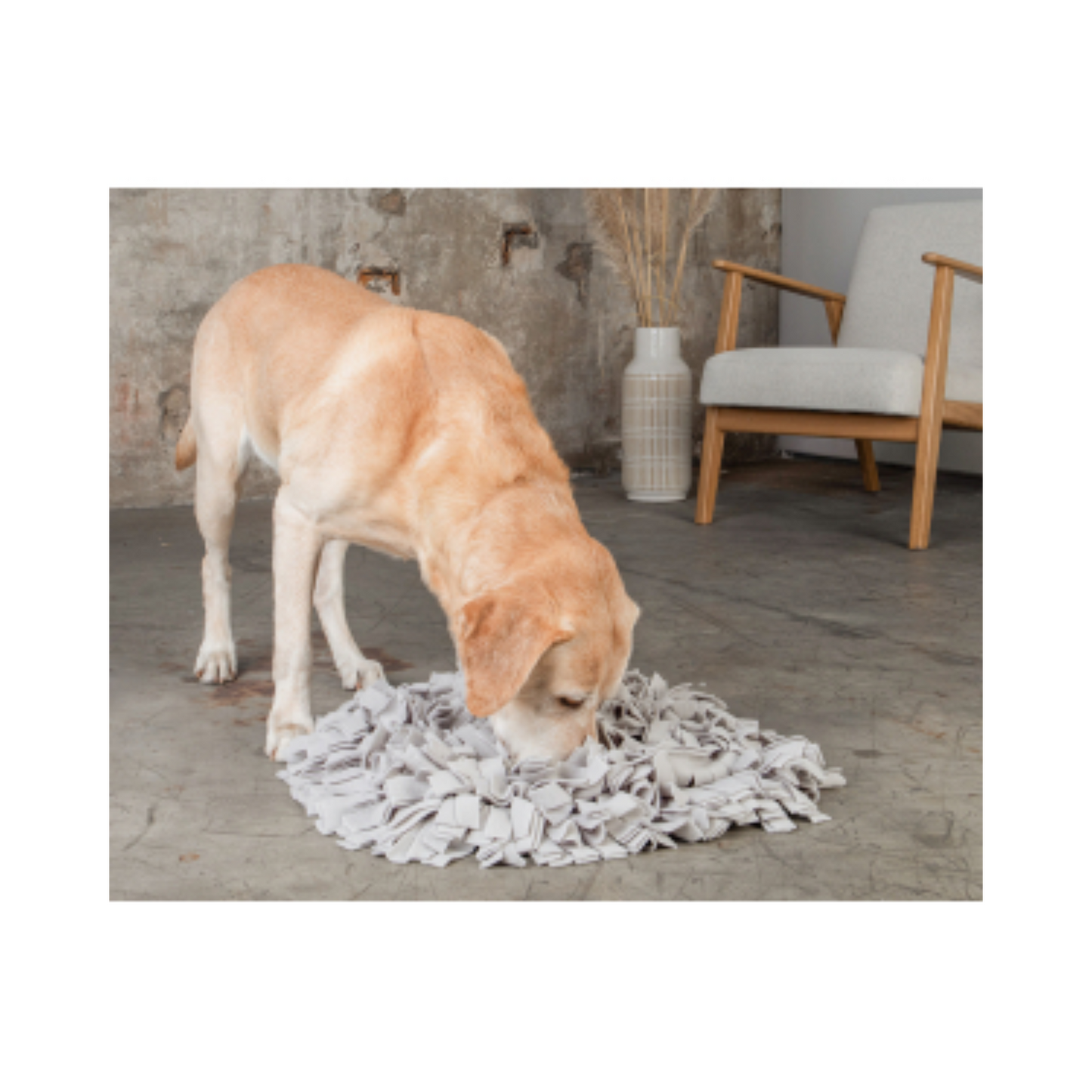 Knuffelwuff Schnüffelteppich – spielerische Kopfarbeit, die jeden Hund begeistert