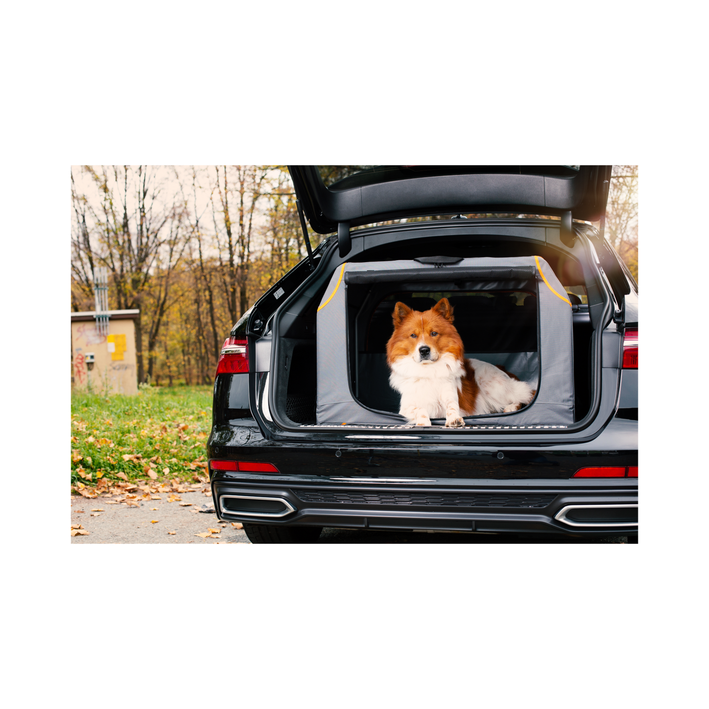 Knuffelwuff faltbare Hundebox Alverstone