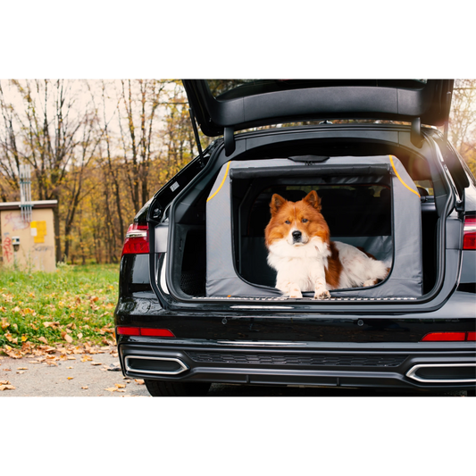 Knuffelwuff faltbare Hundebox Alverstone