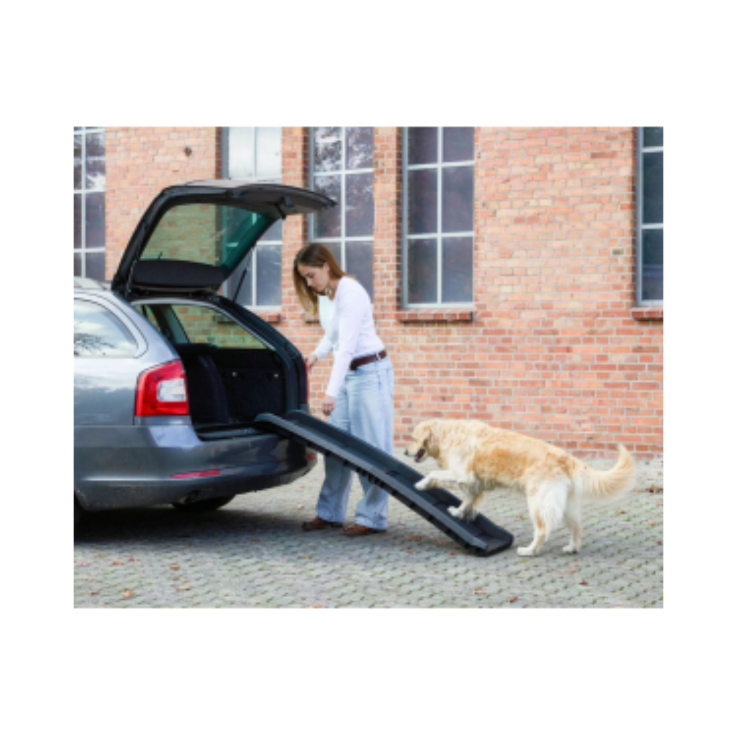 Knuffelwuff klappbare Hunderampe – sichere Einstiegshilfe für gelenkschonendes Ein- & Aussteigen