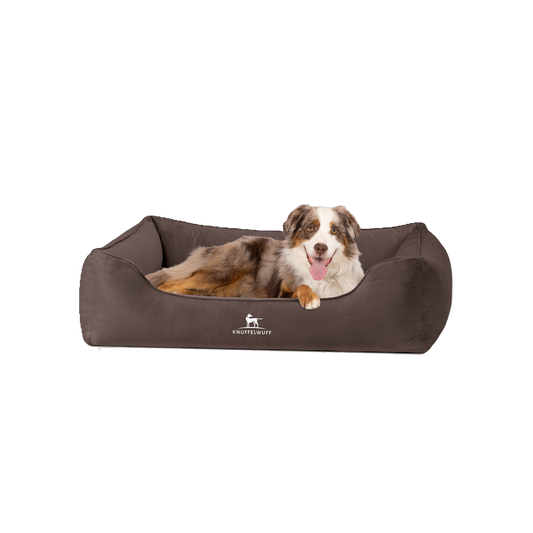 Knuffelwuff orthopädisches Hundebett Jona – stilvoller Samt & gesunder Schlafkomfort