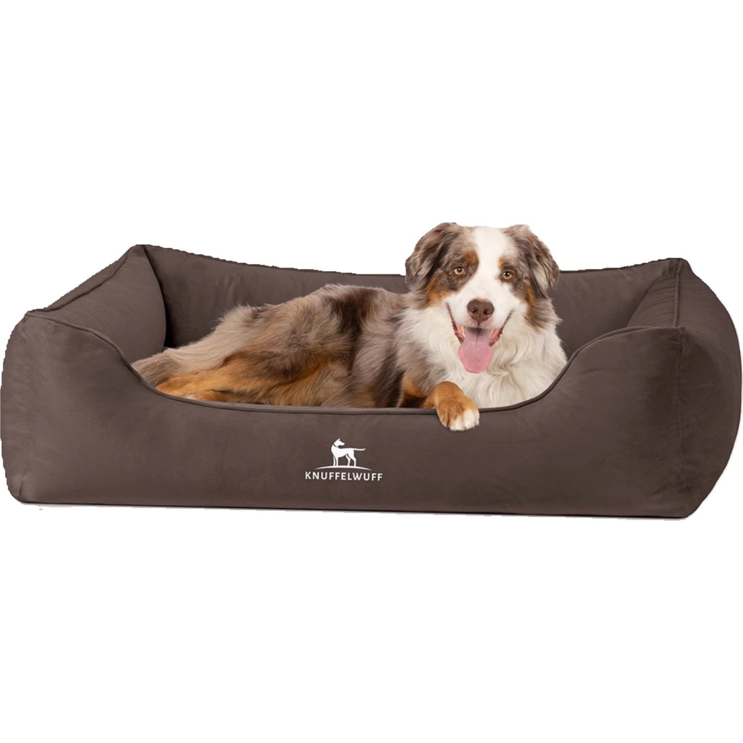 Knuffelwuff orthopädisches Hundebett Jona – stilvoller Samt & gesunder Schlafkomfort