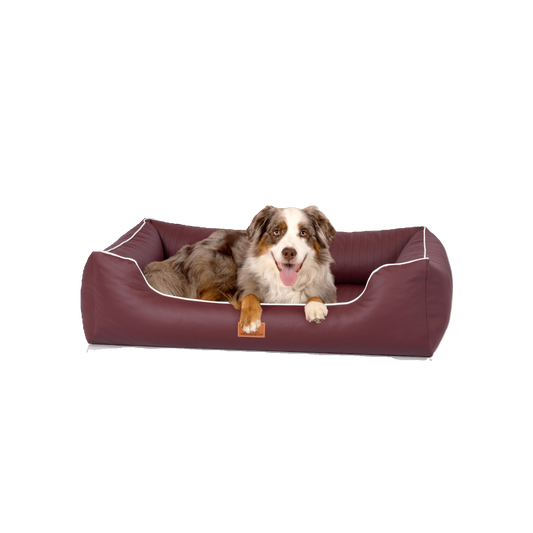 Knuffelwuff orthopädisches Hundebett Lovelock – aus edlem Kunstleder