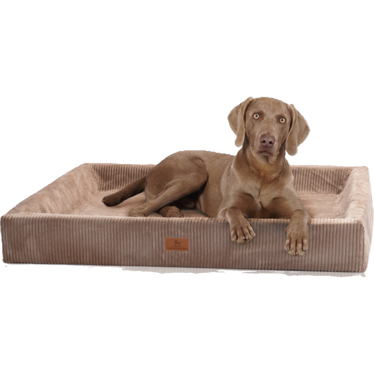 Knuffelwuff orthopädisches Hundebett Santiago aus Cord mit Handwebcharakter