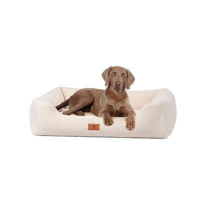 Knuffelwuff orthopädisches Hundebett Wollekopp – Kuscheliger Teddy-Stoff & gesunder Schlafkomfort