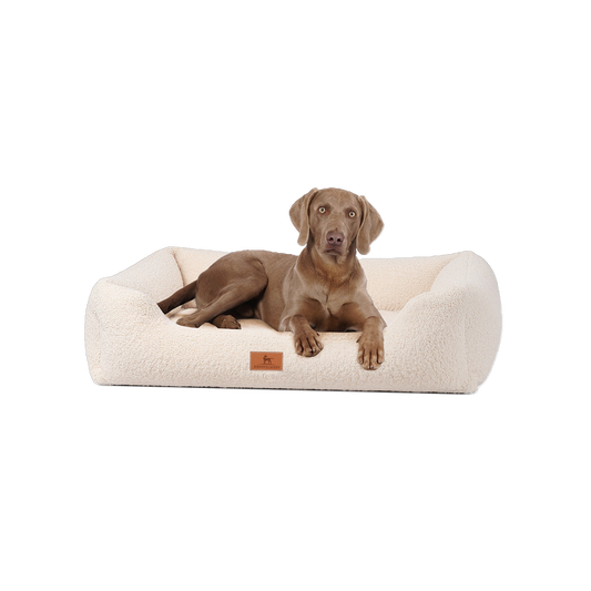 Knuffelwuff orthopädisches Hundebett Wollekopp – Kuscheliger Teddy-Stoff & gesunder Schlafkomfort