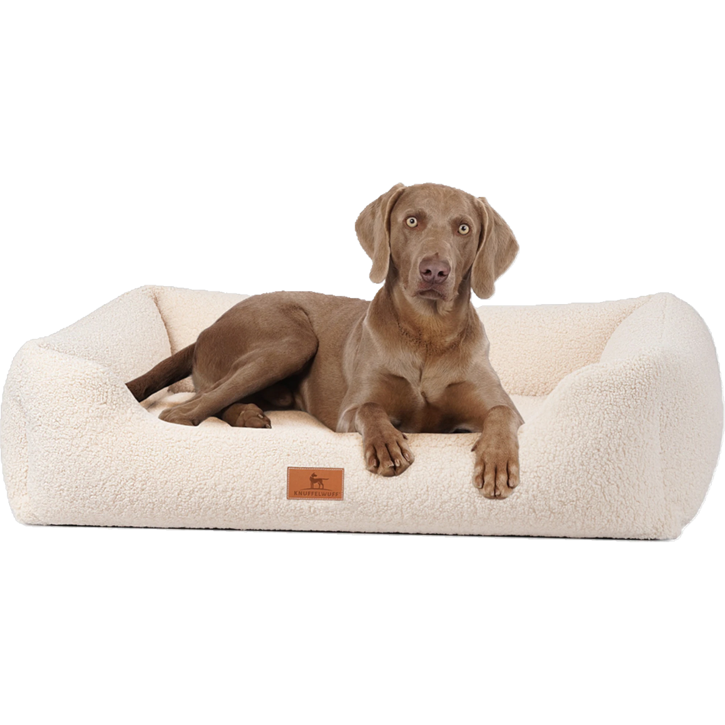 Knuffelwuff orthopädisches Hundebett Wollekopp – Kuscheliger Teddy-Stoff & gesunder Schlafkomfort