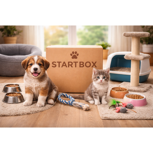 Welpen Starterbox