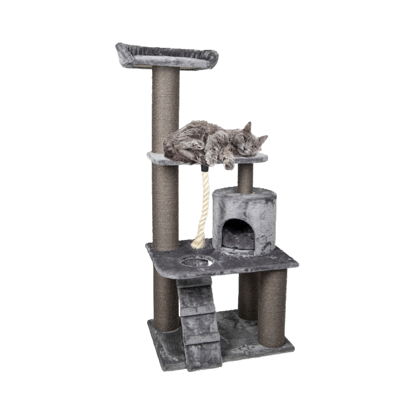 Kratzbaum Edan – Der ultimative Spiel- & Ruheplatz für Ihre Katze