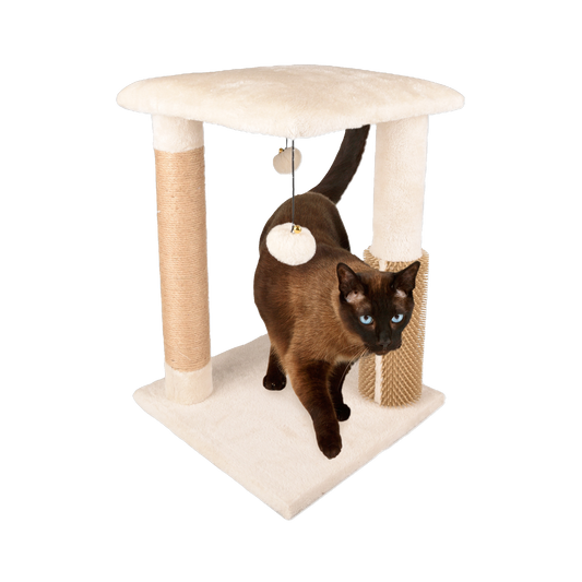 Kratzbaum Una – Komfort & Spielspaß für Ihre Katze