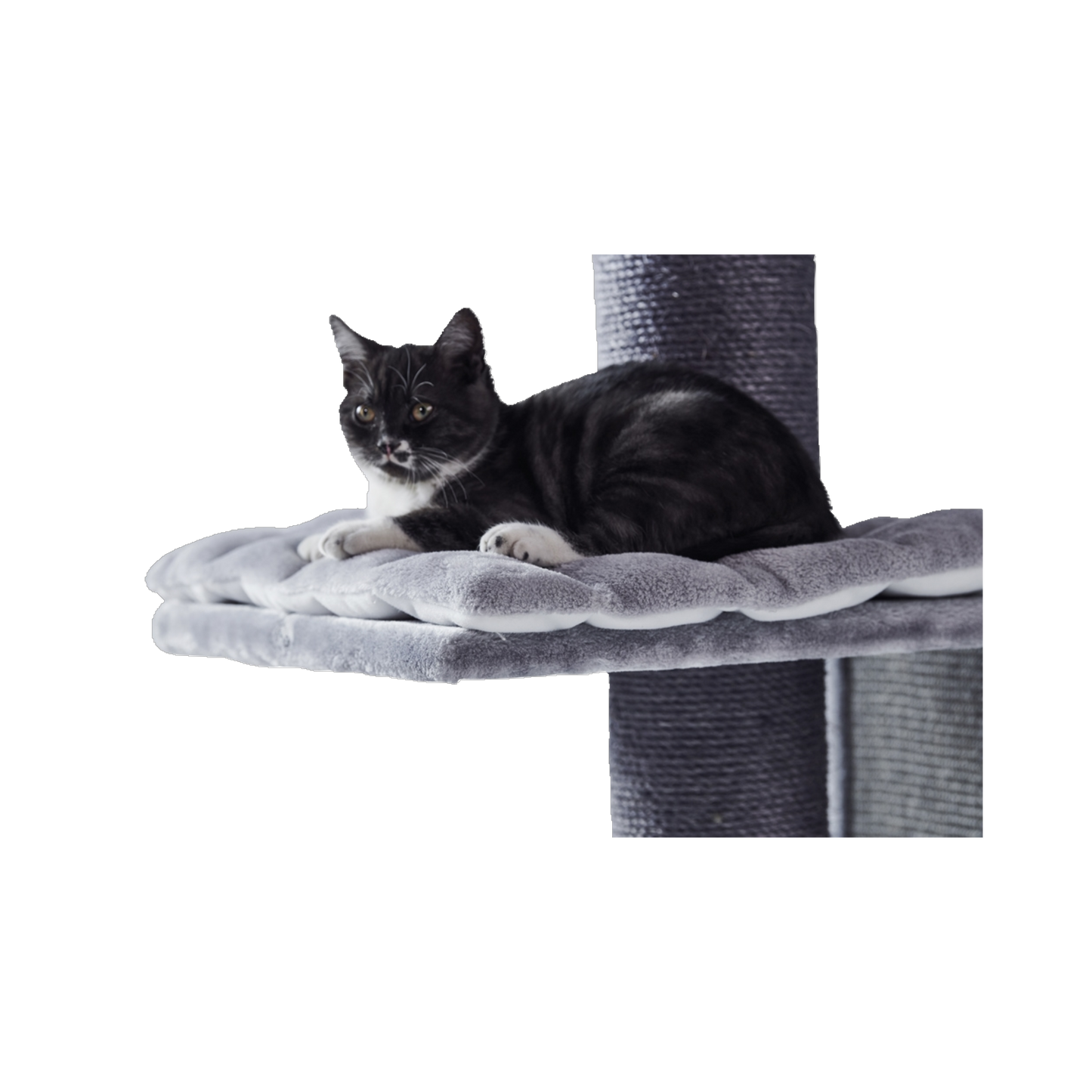 Kratzbaum Yanko – Perfekte Wohlfühloase für große Katzen