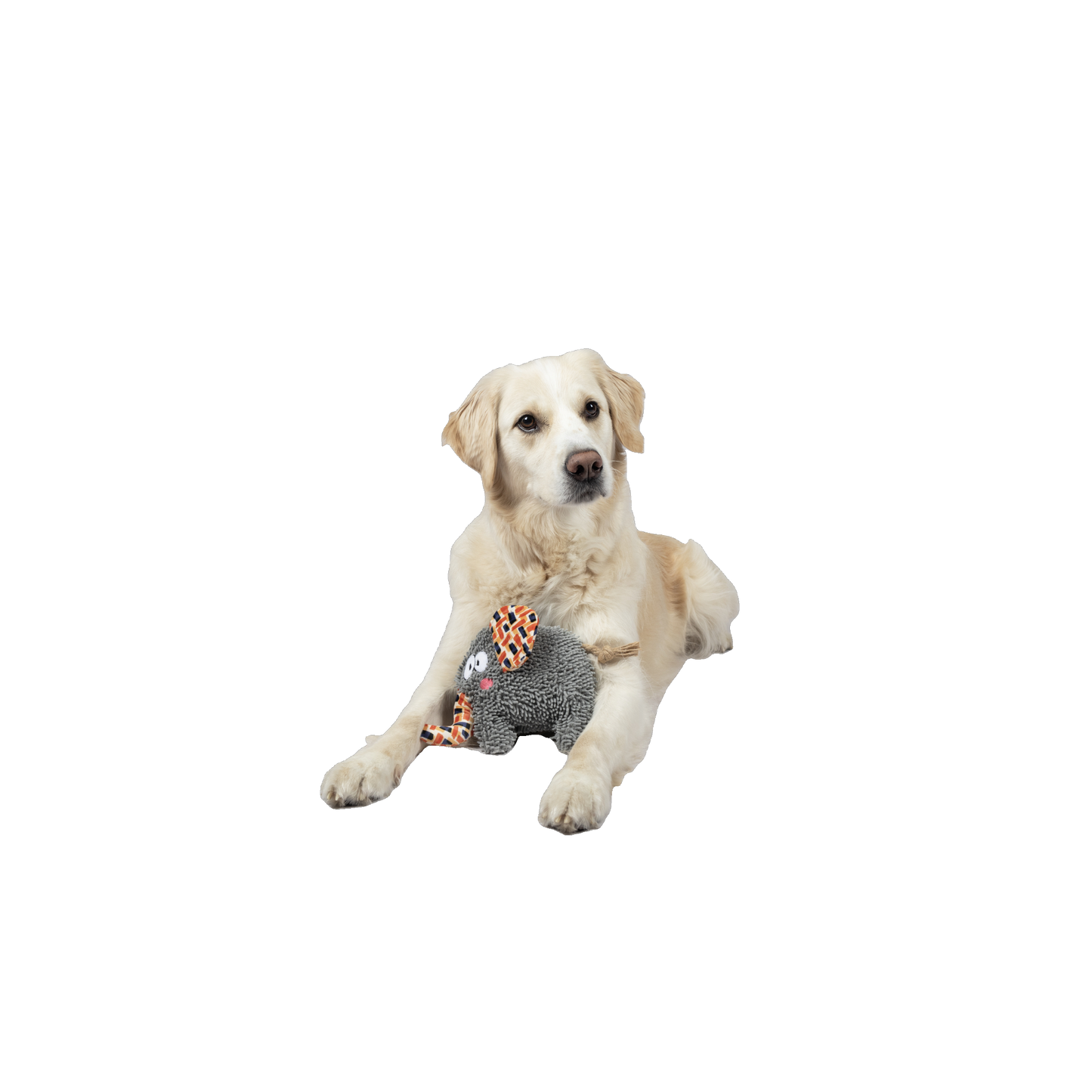Kuschelige Spielgefährten für deinen Hund!