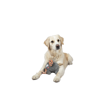 Kuschelige Spielgefährten für deinen Hund!