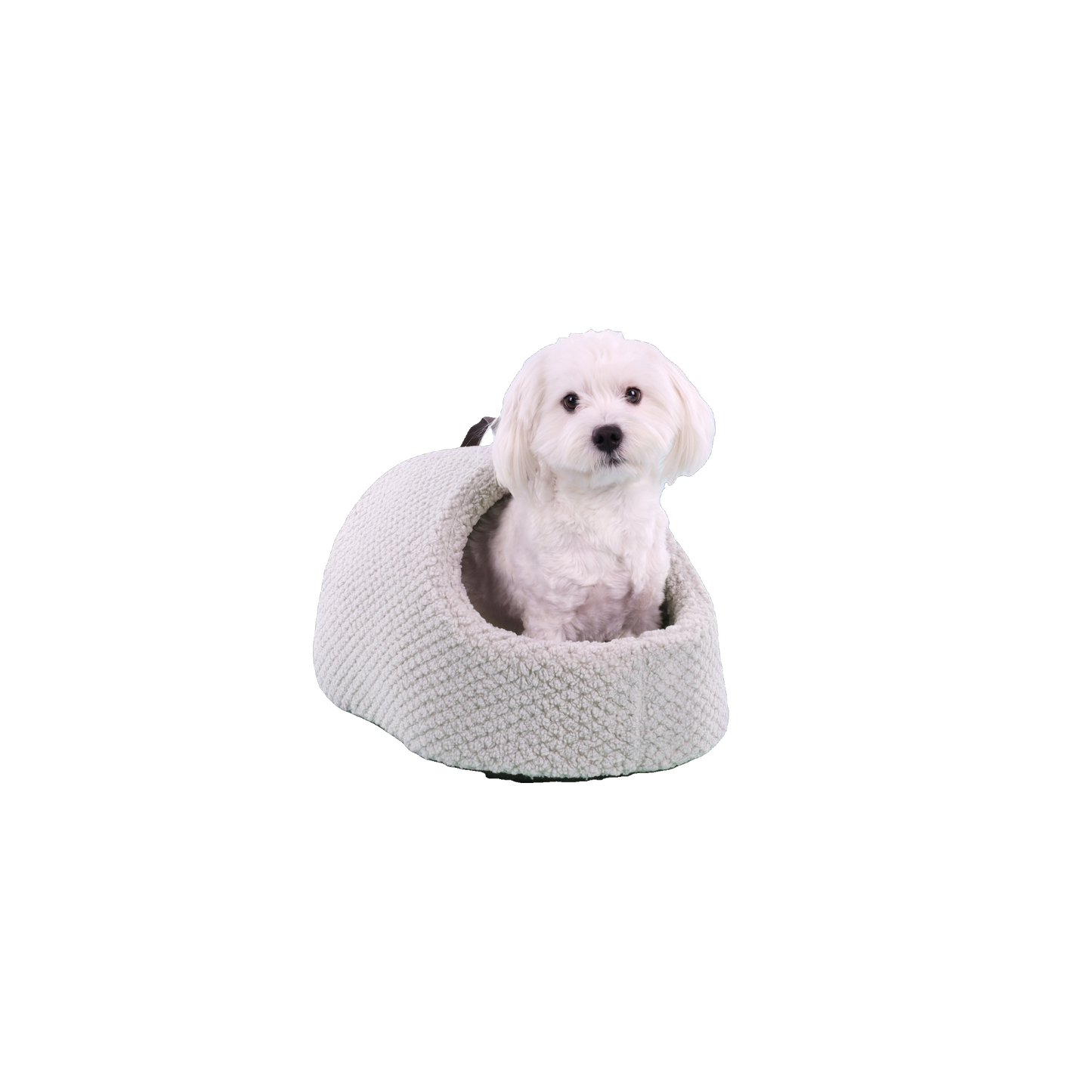Kuscheliger Katzenschuh Jacquard als ruhiger Schlafplatz für Katzen und kleine Hunde