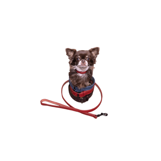 Leine Denver – Stilvolle & Robuste Lederleine für Ihren Hund
