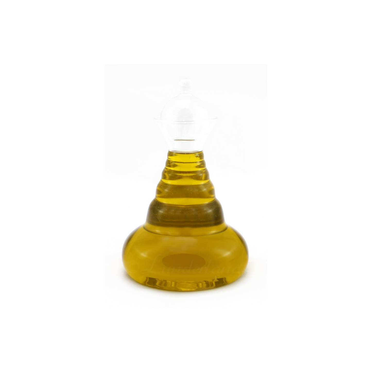 Lunderland Bio-Nachtkerzenöl – natürliche Pflege für Haut, Fell & Abwehr