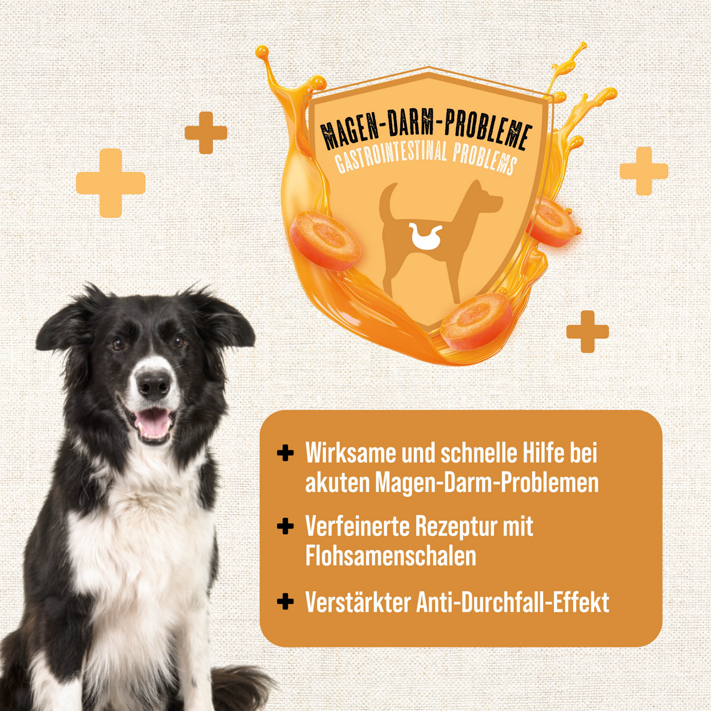 MAC’s Dog – Vetcare Moro’sche Karottensuppe