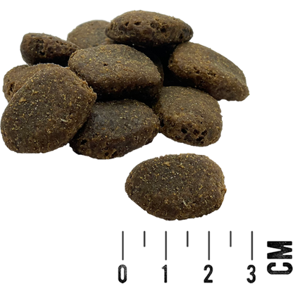 MAC’s Dog – Mono Large Breed Frische Pute & Kartoffel