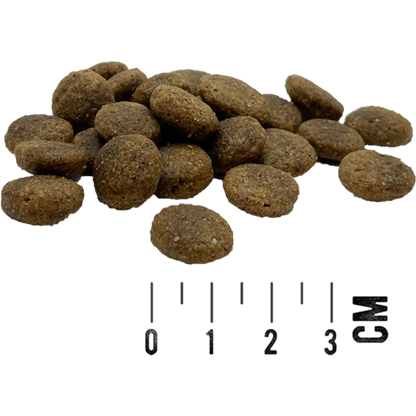 MAC’s Dog – Mono Frisches Rind & Süßkartoffel