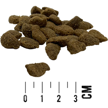 MAC’s Cat – Adult Ente, Pute & Huhn