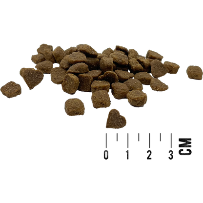 MAC’s Cat – Kitten Geflügel