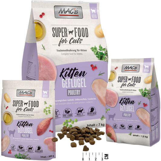MAC’s Cat – Kitten Geflügel